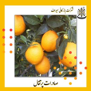 پرتقال صادراتی ایران