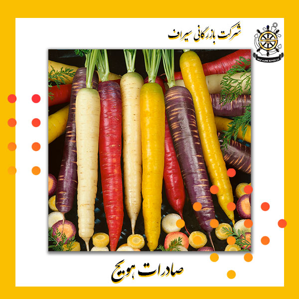 هویج صادراتی ایران