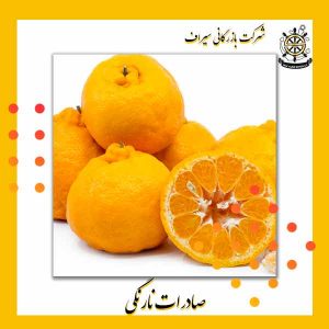 نارنگی صادرات ایران