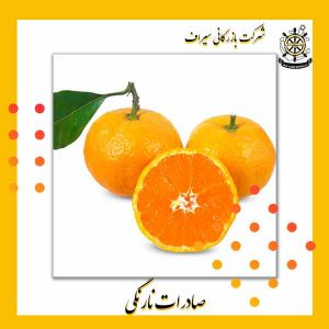 نارنگی صادراتی ایران