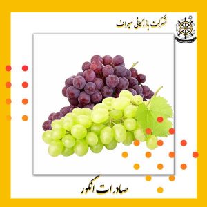 انگور صادراتی ایران