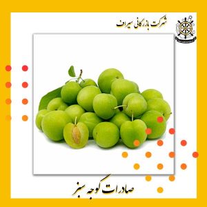 گوجه سبز صادراتی ایران