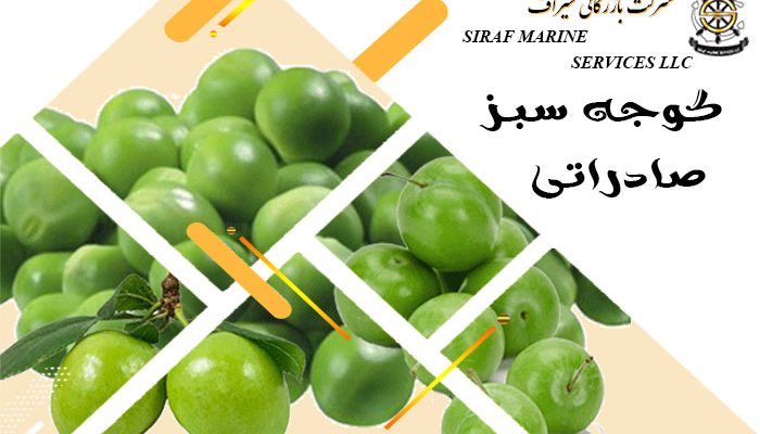 صادرات گوجه سبز
