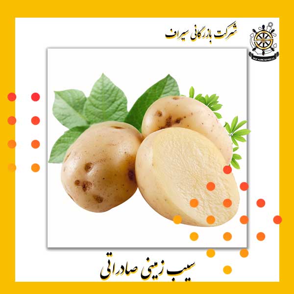 سیب زمینی صادراتی ایران